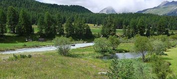 Pontresina 3-room apartment