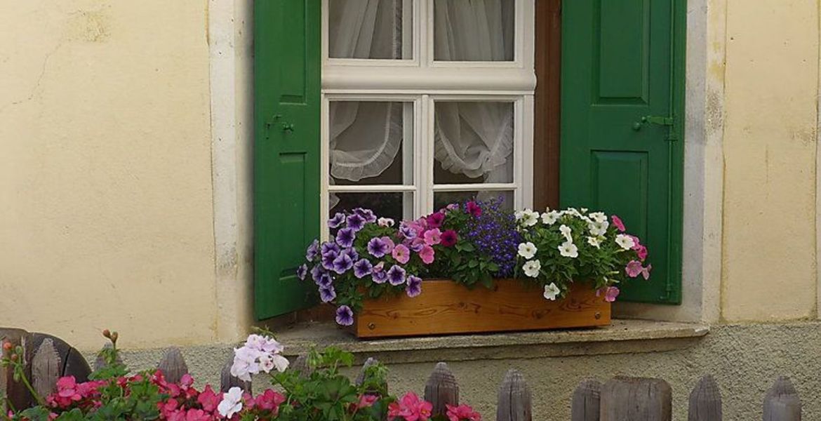 Cosy historical small apartment house