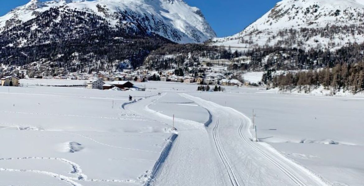 Appartement à louer à Silvaplana-Surlej