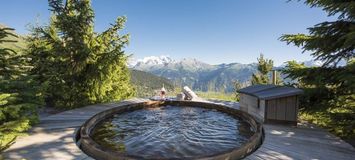 Chalet in Verbier