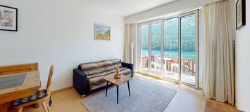 Bright 3.5 room apartment with a new standard in St Moritz 