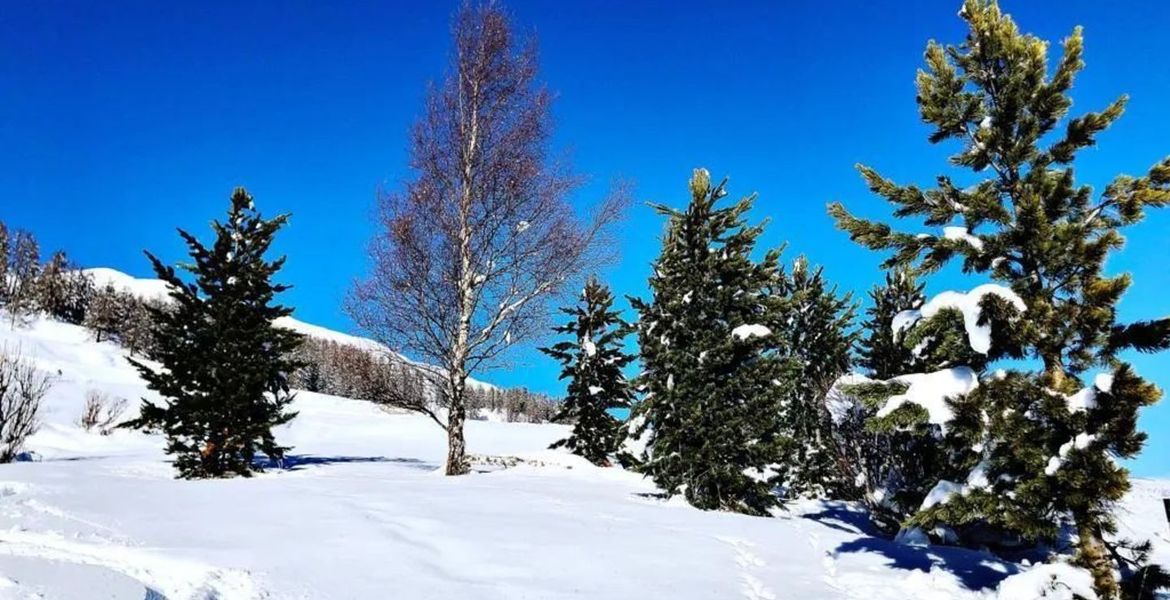 Chalet à louer à St. Moritz avec 270 m² et 5 chambres 