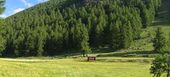 Chalet in S-chanf