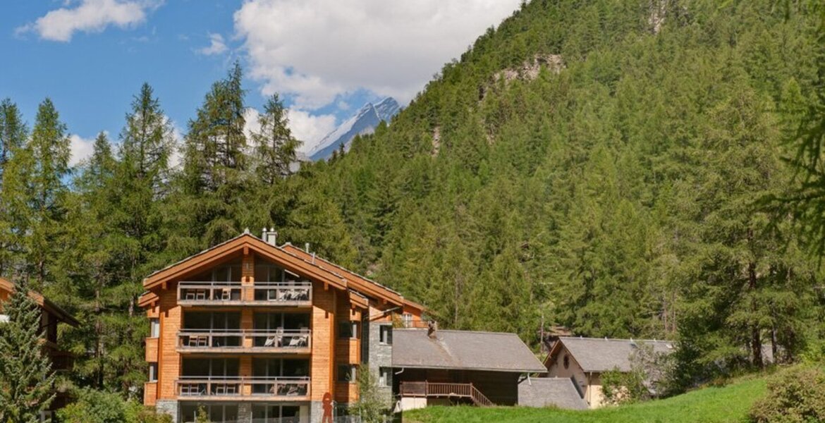 Este apartamento es uno de los dos más grandes del chalet, c