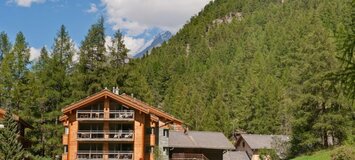 Cet appartement est l'un des deux plus grands du chalet, ave