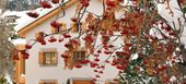 St Moritz Chalet 7 habitaciones lujosamente decoradas