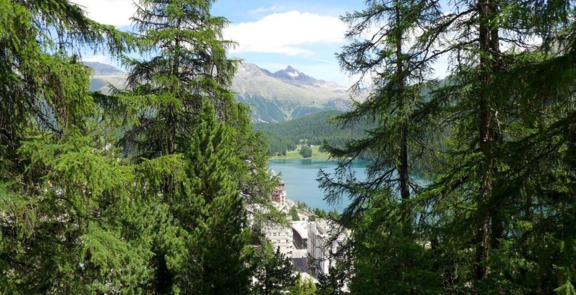 Holiday apartment in St. Moritz