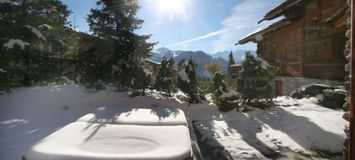 Rental Chalet / House in St Moritz