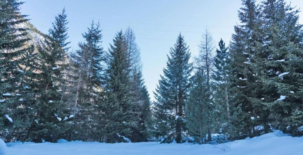 Шале в аренду в Ла Пунт-Шамю