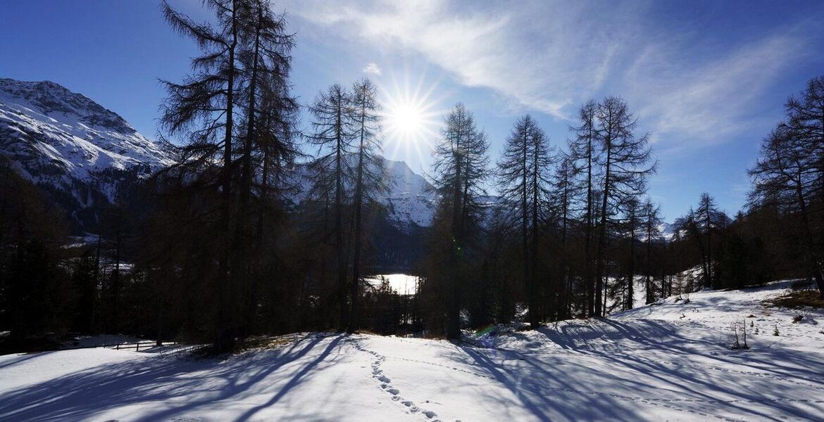 Magnifique propriété de montagne