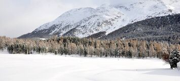 Apartment for rent in St. Moritz