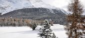 Apartment for rent in St. Moritz