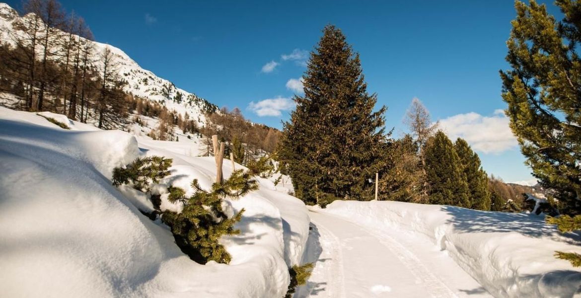 Magnifique propriété de montagne