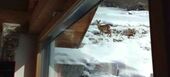 Chalet for rent in Surses