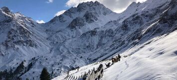 Chalet for rent in Surses