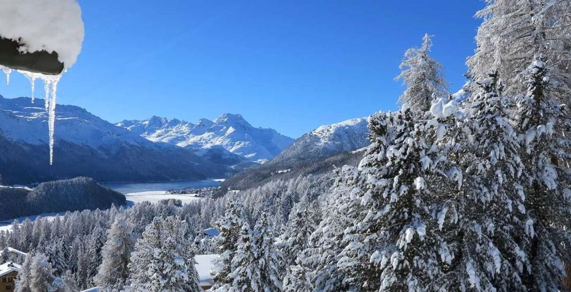 Villa dans la zone exclusive de St.Moritz-Suvretta