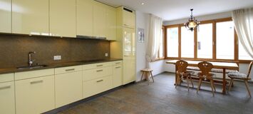 Amazing Apartment in St Moritz for rent 