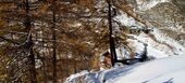 Chalet for rent in Zermatt