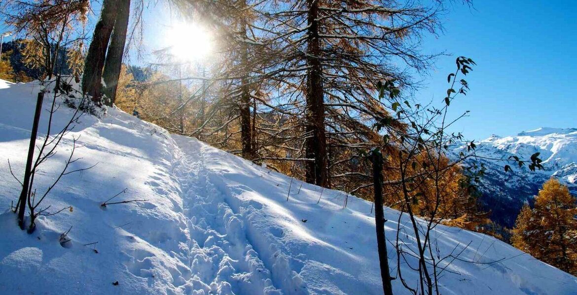 Chalet for rent in Zermatt