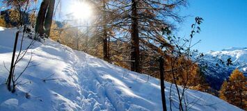 Chalet for rent in Zermatt