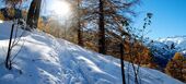 Chalet for rent in Zermatt