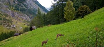 Chalet for rent in Zermatt