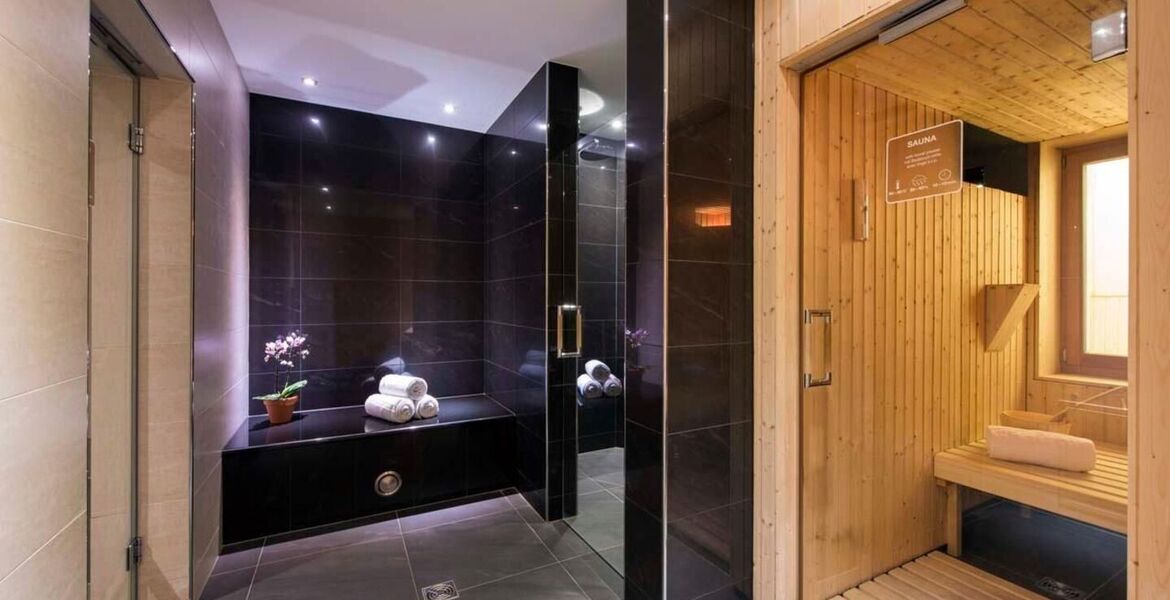 Penthouse for rent in Zermatt