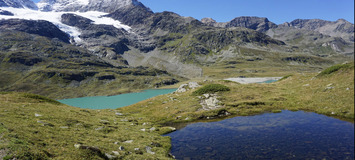 Chalet en alquiler en St Moritz 