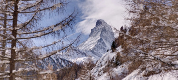 Chalet à louer à Zermatt Switzerland