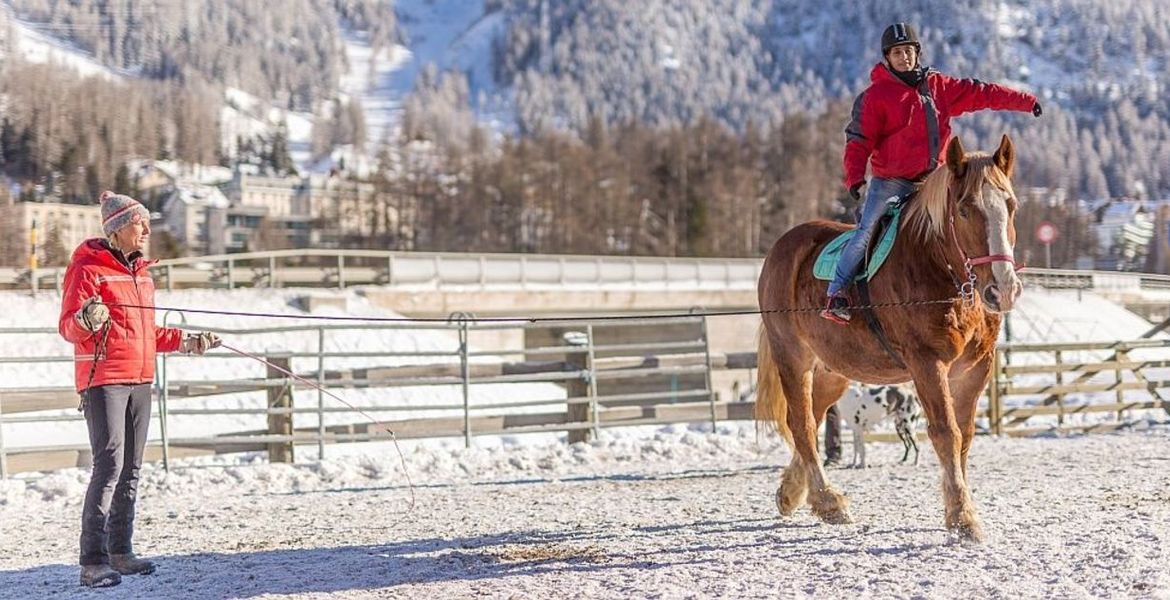 Horse Riding Experience the Magic of Horses in Pontresina!