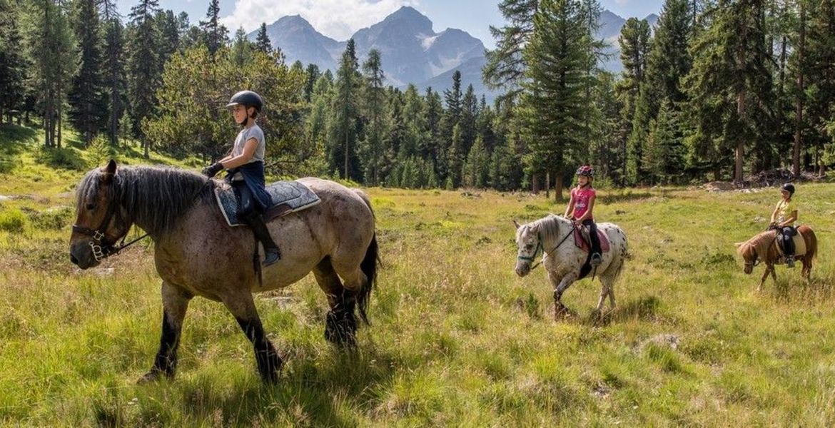 Horse Riding