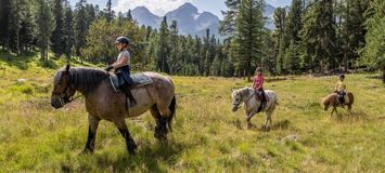 Horse Riding