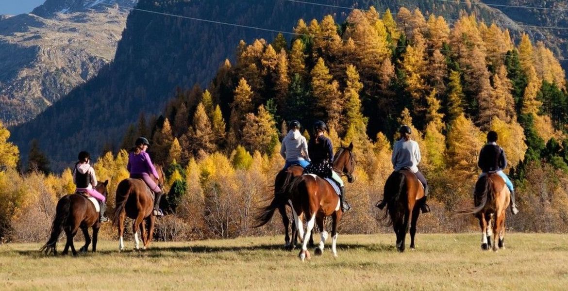 Équitation