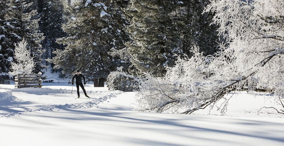 Ski de fond