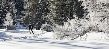 Cross Country Skiing Private Ski Lessons