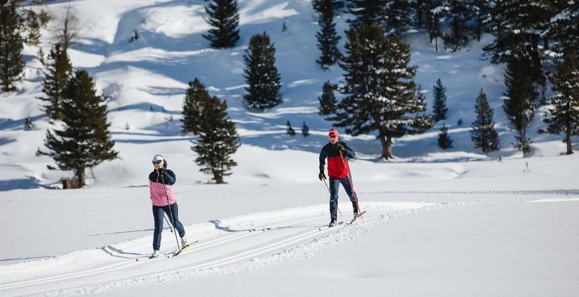 Cross Country Skiing Private Ski Lessons