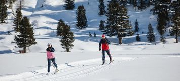 Cross Country Skiing Private Ski Lessons
