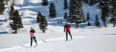 Cross Country Skiing Private Ski Lessons