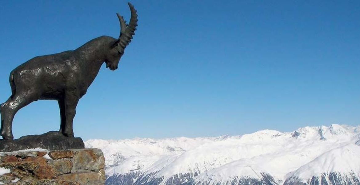 Tour guides in St. Moritz